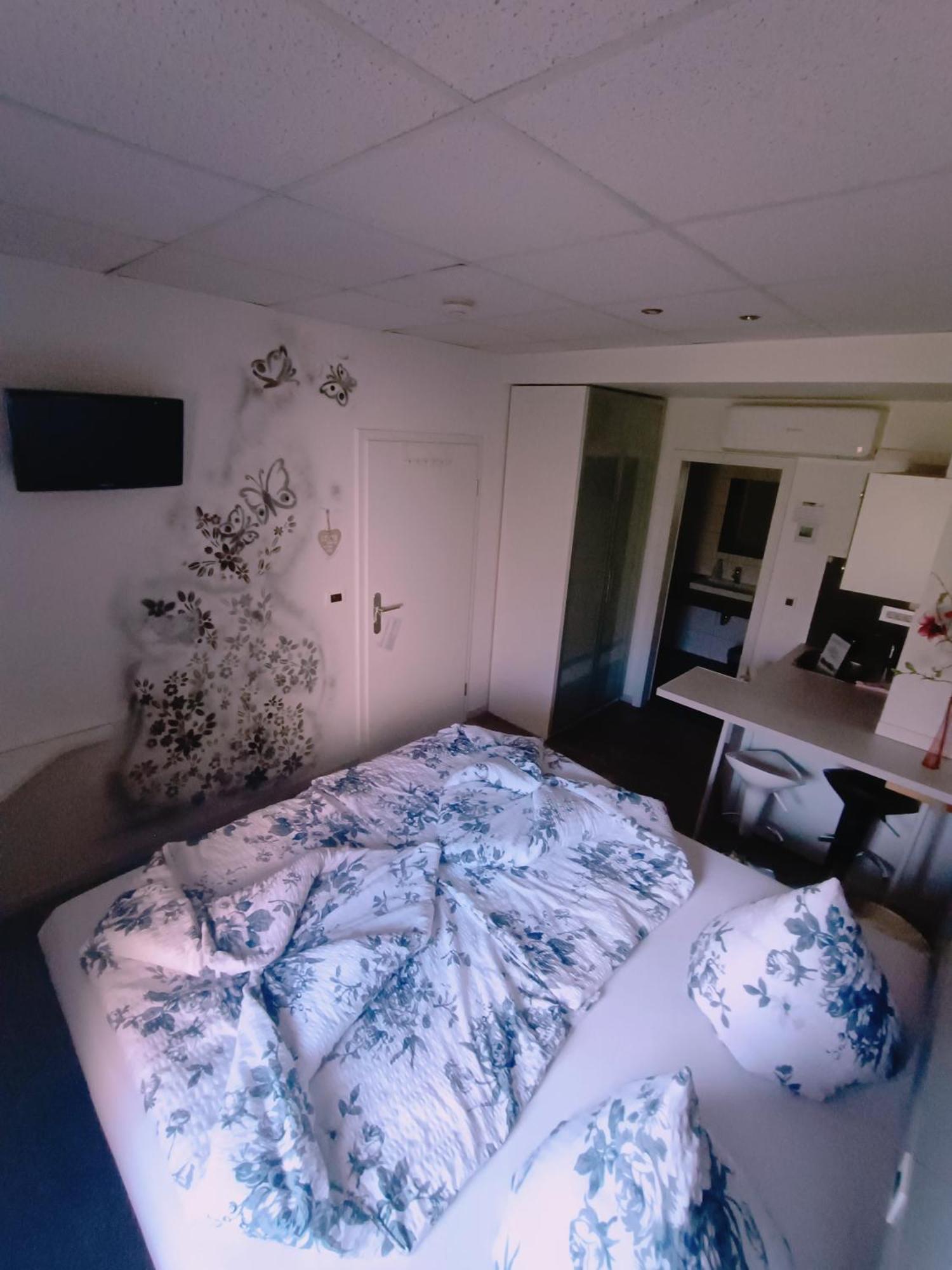 Boardinghouse Sinsheim Zentral Am Burgplatz Hostel Εξωτερικό φωτογραφία